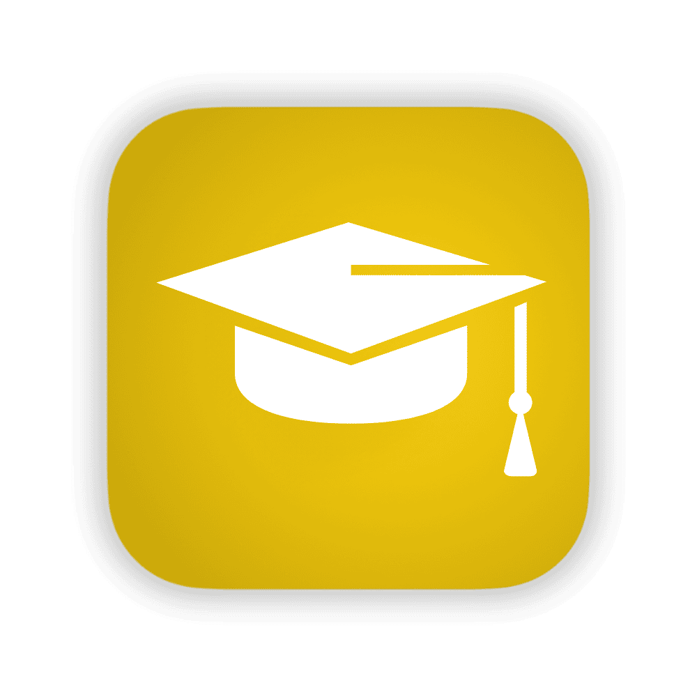 Icon 3